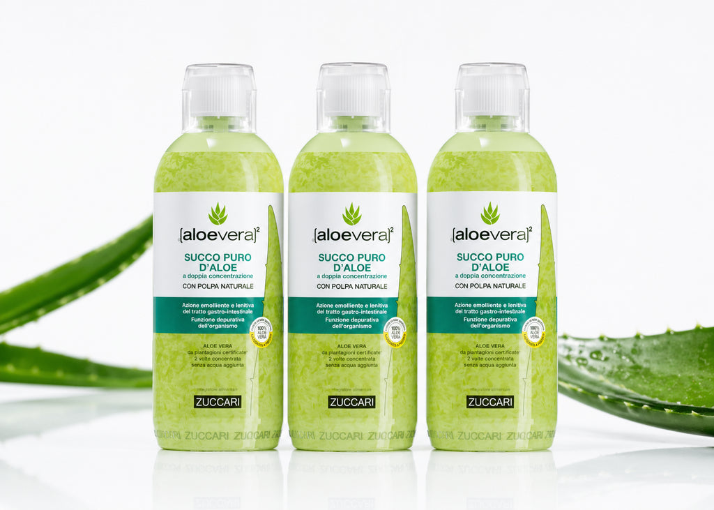 90-Day Supply Aloe Vera Concentrate
