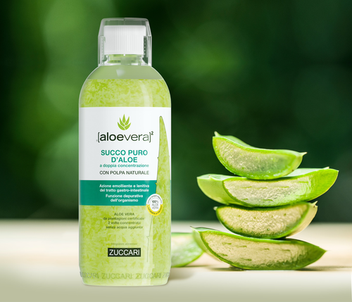 90-Day Supply Aloe Vera Concentrate